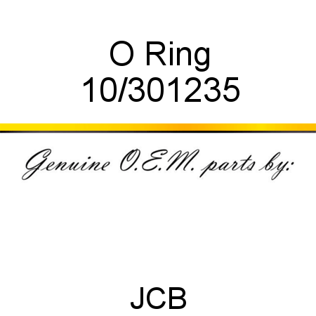 O Ring 10/301235