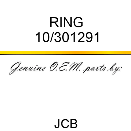 RING 10/301291