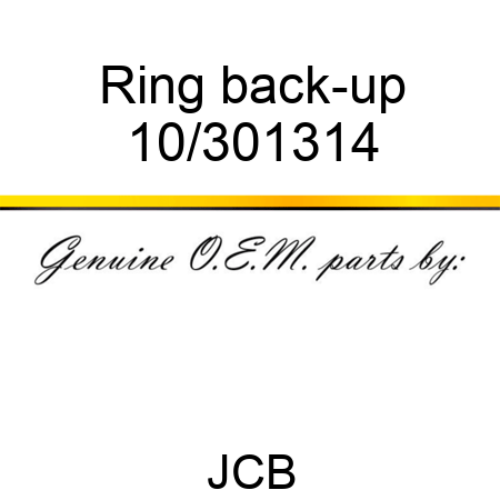 Ring back-up 10/301314