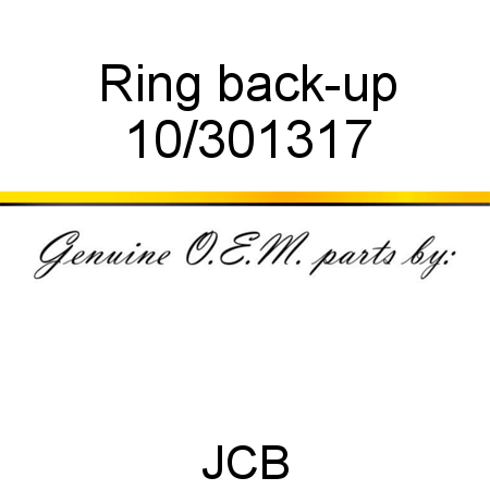 Ring, back-up 10/301317