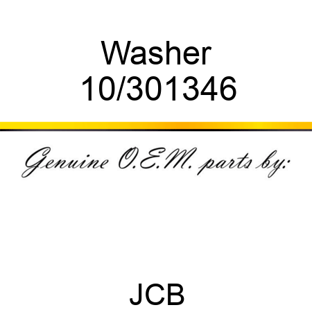 Washer 10/301346