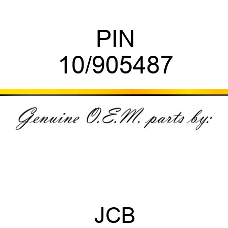PIN 10/905487