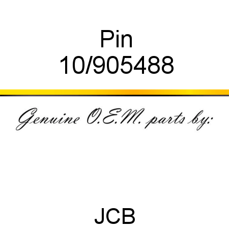 Pin 10/905488
