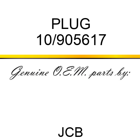 PLUG 10/905617