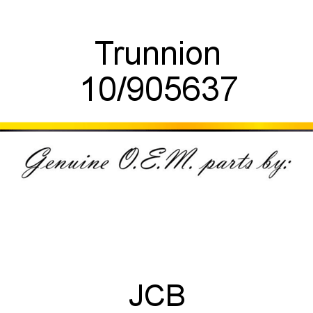 Trunnion 10/905637
