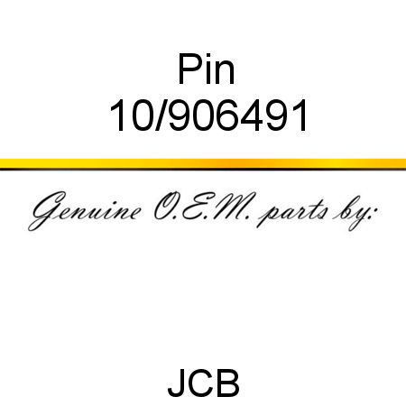 Pin 10/906491
