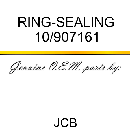 RING-SEALING 10/907161