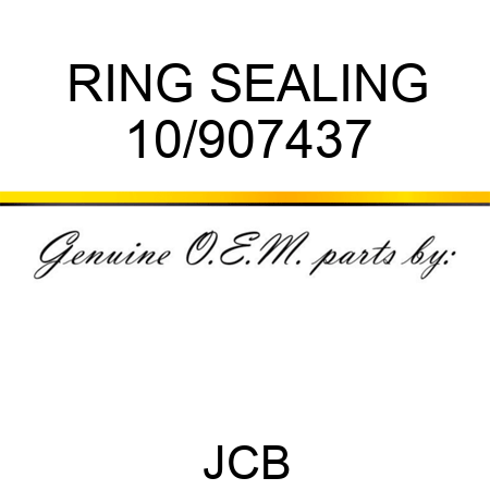 RING SEALING 10/907437