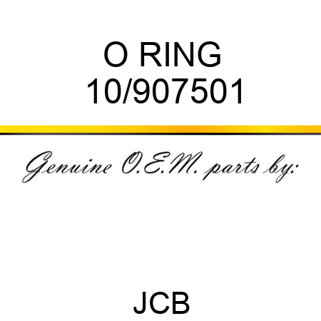 O RING 10/907501