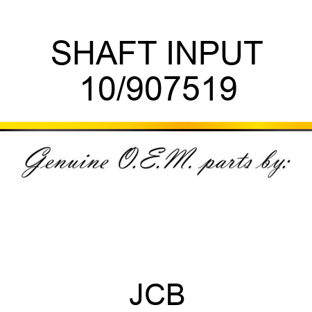 SHAFT INPUT 10/907519