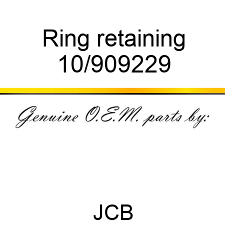 Ring retaining 10/909229