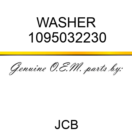 WASHER 1095032230