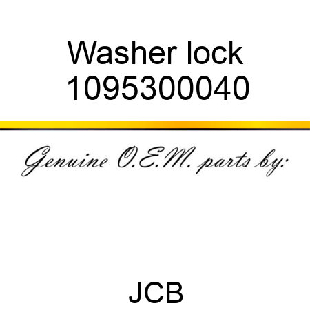 Washer lock 1095300040
