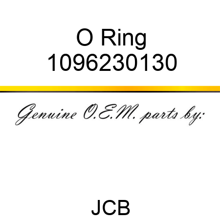 O Ring 1096230130