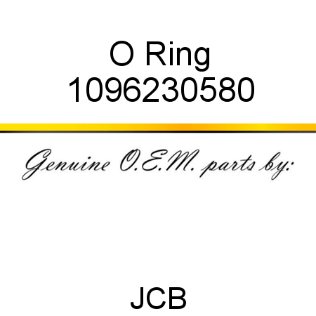 O Ring 1096230580