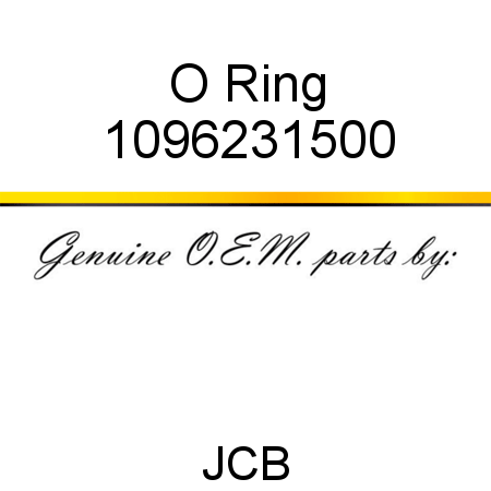 O Ring 1096231500