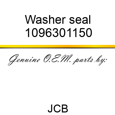 Washer seal 1096301150