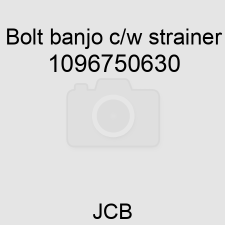 Bolt, banjo c/w strainer 1096750630