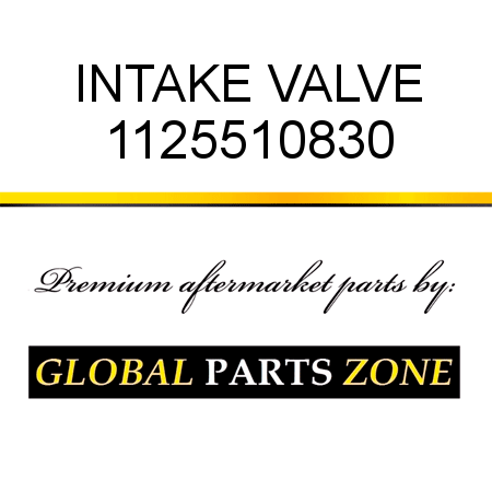 INTAKE VALVE 1125510830