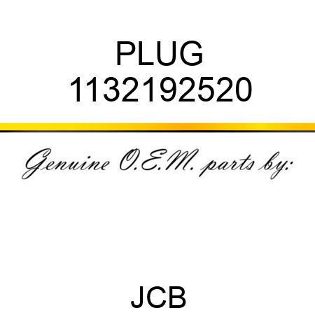 PLUG 1132192520