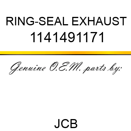 RING-SEAL EXHAUST 1141491171