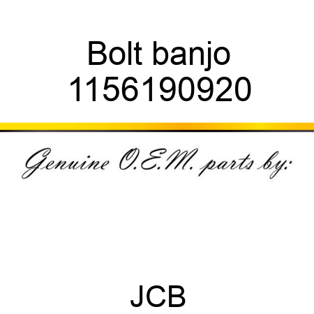 Bolt banjo 1156190920