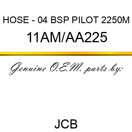 HOSE - 04 BSP PILOT 2250M 11AM/AA225