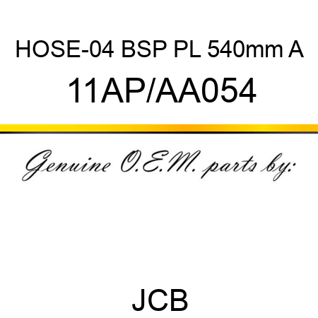 HOSE-04 BSP PL 540mm A 11AP/AA054