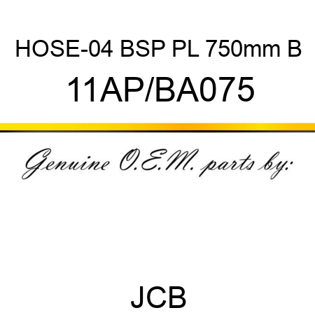 HOSE-04 BSP PL 750mm B 11AP/BA075