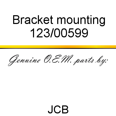 Bracket, mounting 123/00599