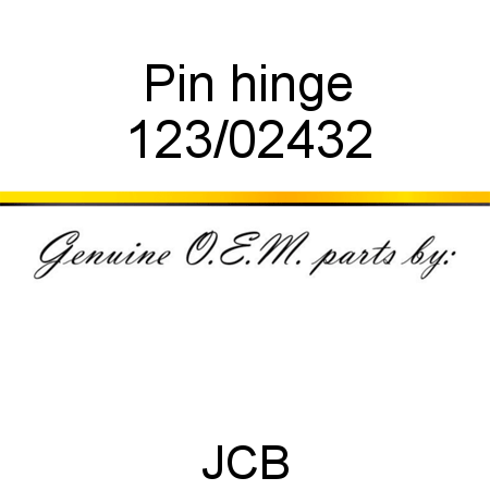 Pin, hinge 123/02432
