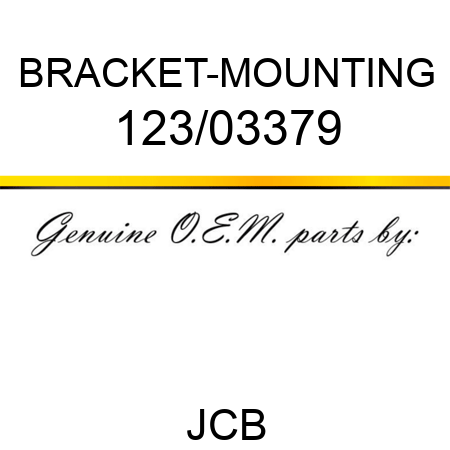 BRACKET-MOUNTING 123/03379