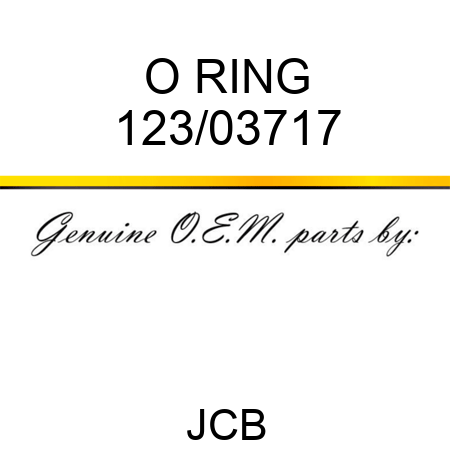 O RING 123/03717