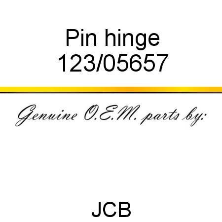 Pin, hinge 123/05657