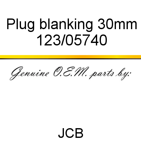 Plug, blanking, 30mm 123/05740