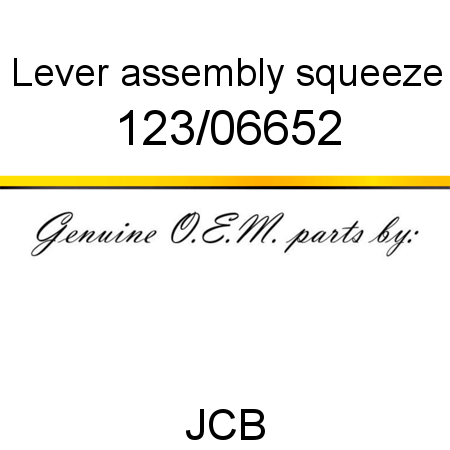 Lever, assembly, squeeze 123/06652
