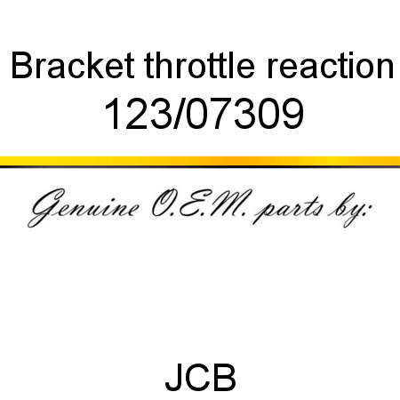 Bracket, throttle reaction 123/07309