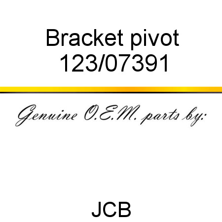 Bracket, pivot 123/07391