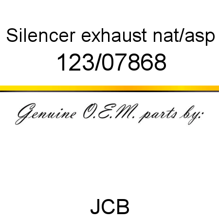 Silencer, exhaust, nat/asp 123/07868