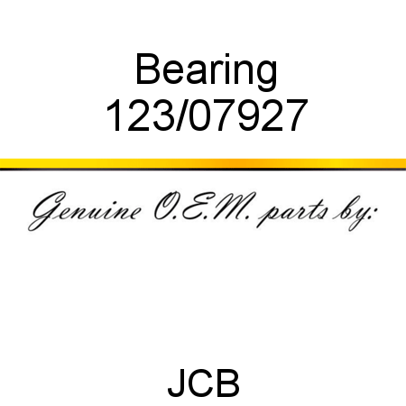 Bearing 123/07927