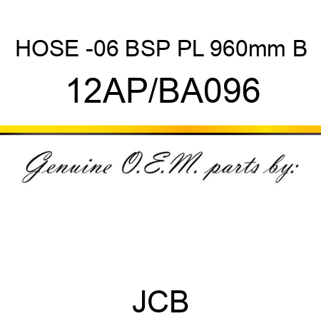 HOSE -06 BSP PL 960mm B 12AP/BA096