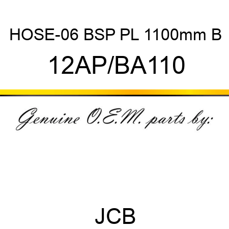 HOSE-06 BSP PL 1100mm B 12AP/BA110