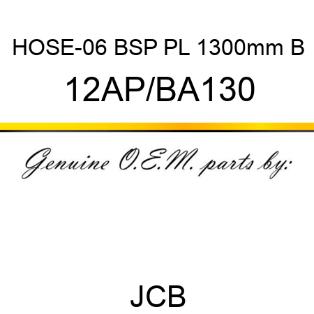HOSE-06 BSP PL 1300mm B 12AP/BA130