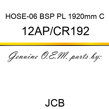 HOSE-06 BSP PL 1920mm C 12AP/CR192
