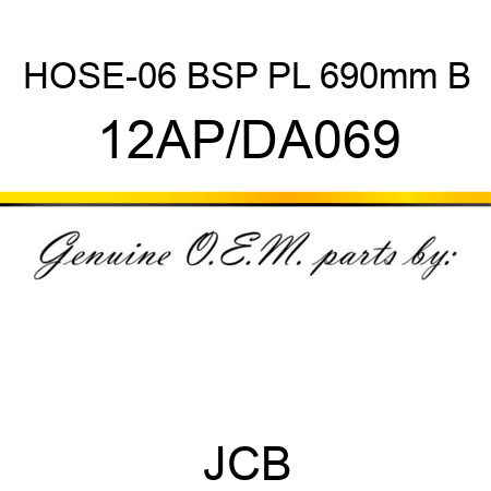 HOSE-06 BSP PL 690mm B 12AP/DA069