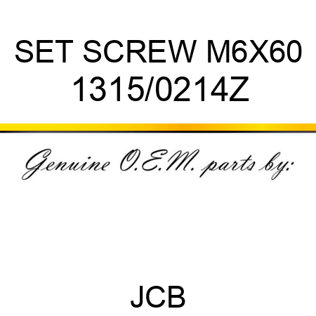 SET SCREW M6X60 1315/0214Z