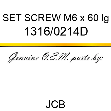 SET SCREW M6 x 60 lg 1316/0214D