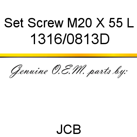 Set Screw M20 X 55 L 1316/0813D