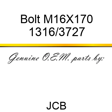Bolt M16X170 1316/3727