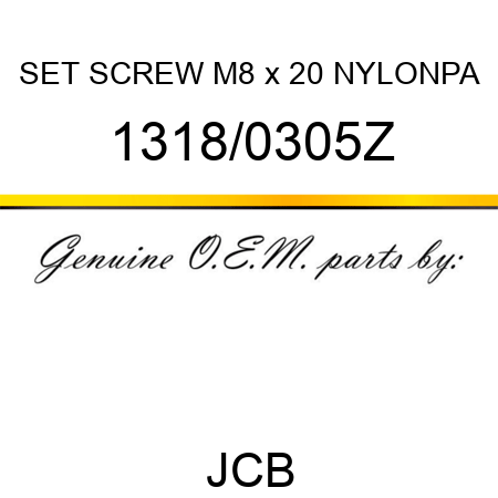 SET SCREW M8 x 20 NYLONPA 1318/0305Z